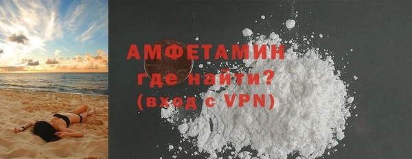 индика Волоколамск