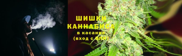 мдпв Волосово