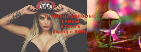 индика Волоколамск