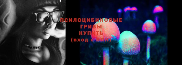 сатива Вязники