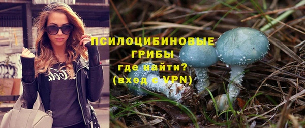 индика Волоколамск