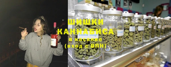 индика Волоколамск