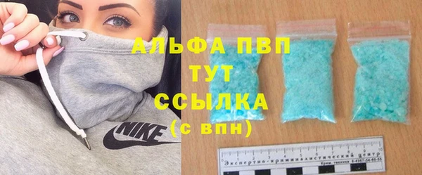 спиды Бородино