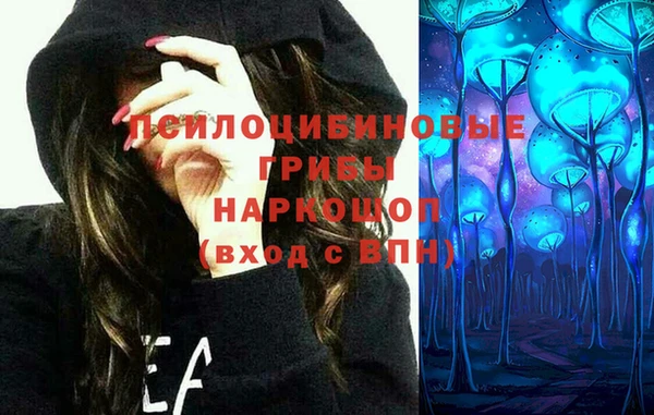 apvp Володарск