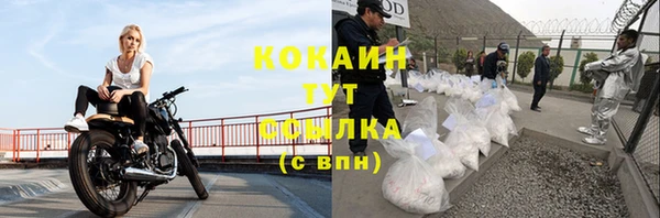 мдпв Волосово
