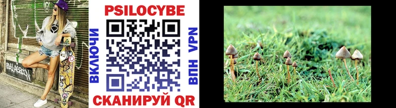 где купить наркоту  Дагестанские Огни  Псилоцибиновые грибы MAGIC MUSHROOMS 